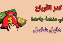 كنز الأرباح: الدليل الشامل لجميع مسارات الربح من الإنترنت في منصة واحدة.