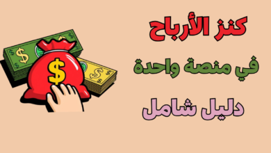كنز الأرباح: الدليل الشامل لجميع مسارات الربح من الإنترنت في منصة واحدة.